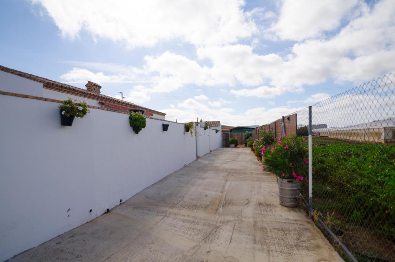 Casa Manoli Villa Conil De La Frontera Buitenkant foto