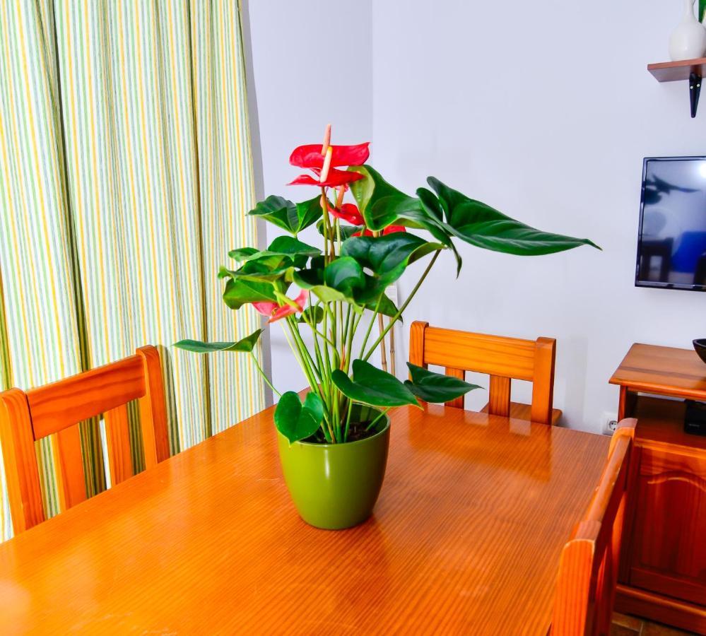 Casa Manoli Villa Conil De La Frontera Buitenkant foto
